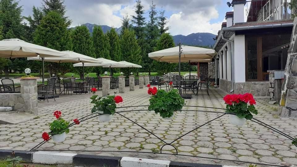 Hotel Cheia Кейя Экстерьер фото