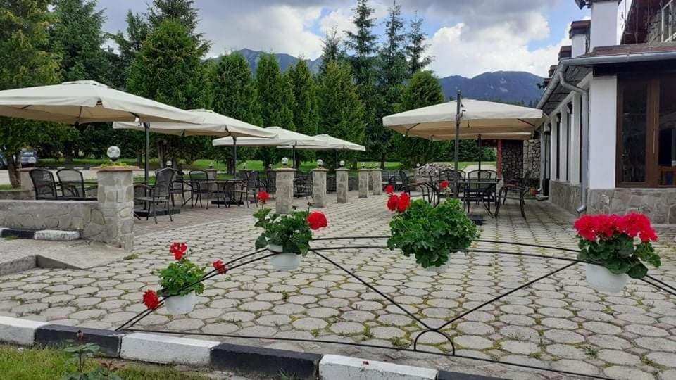 Hotel Cheia Кейя Экстерьер фото